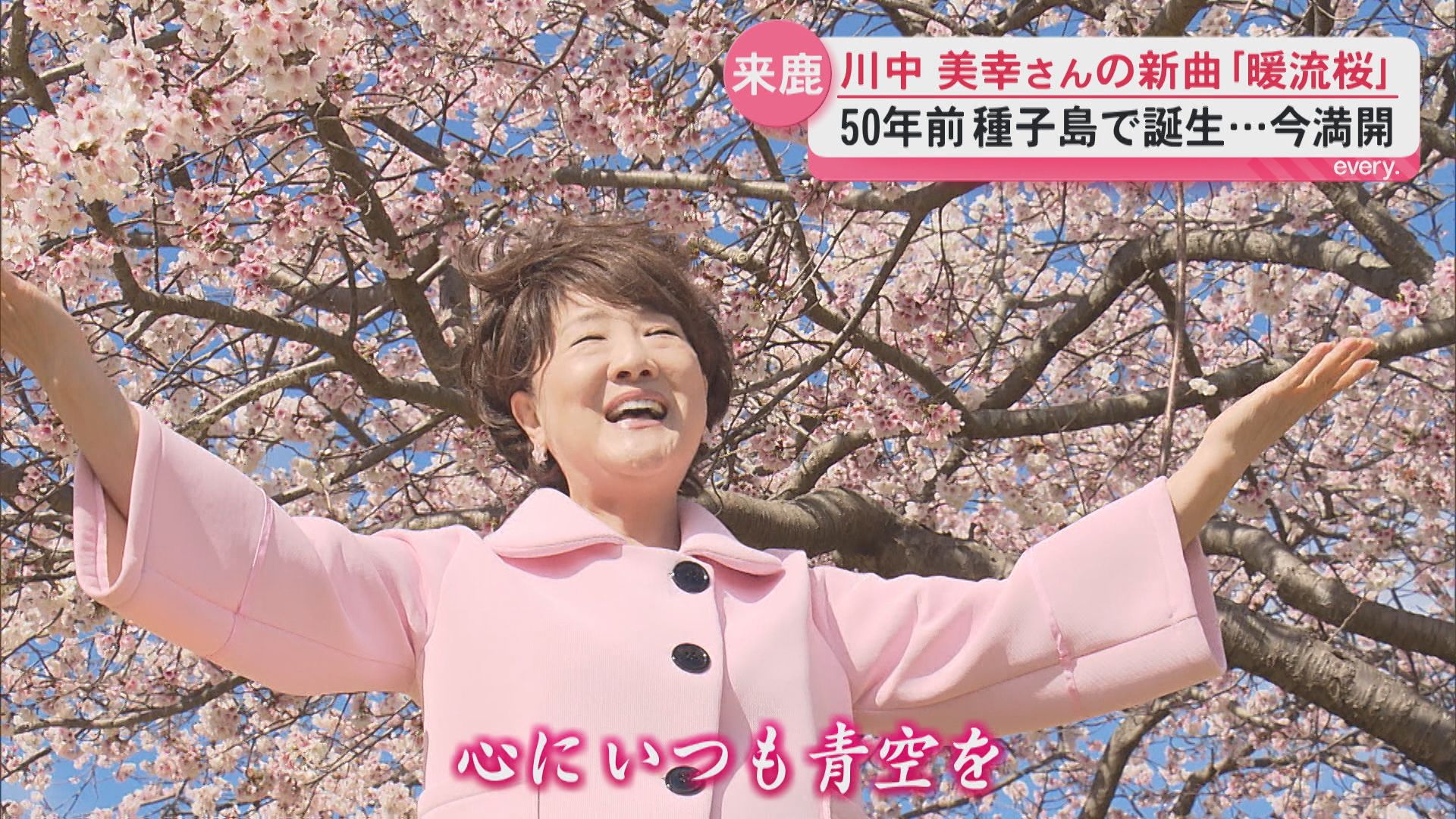 作詞は鹿児島市出身･京えりこさん　演歌歌手・川中美幸さんが鹿児島ゆかりの新曲「暖流桜」発表