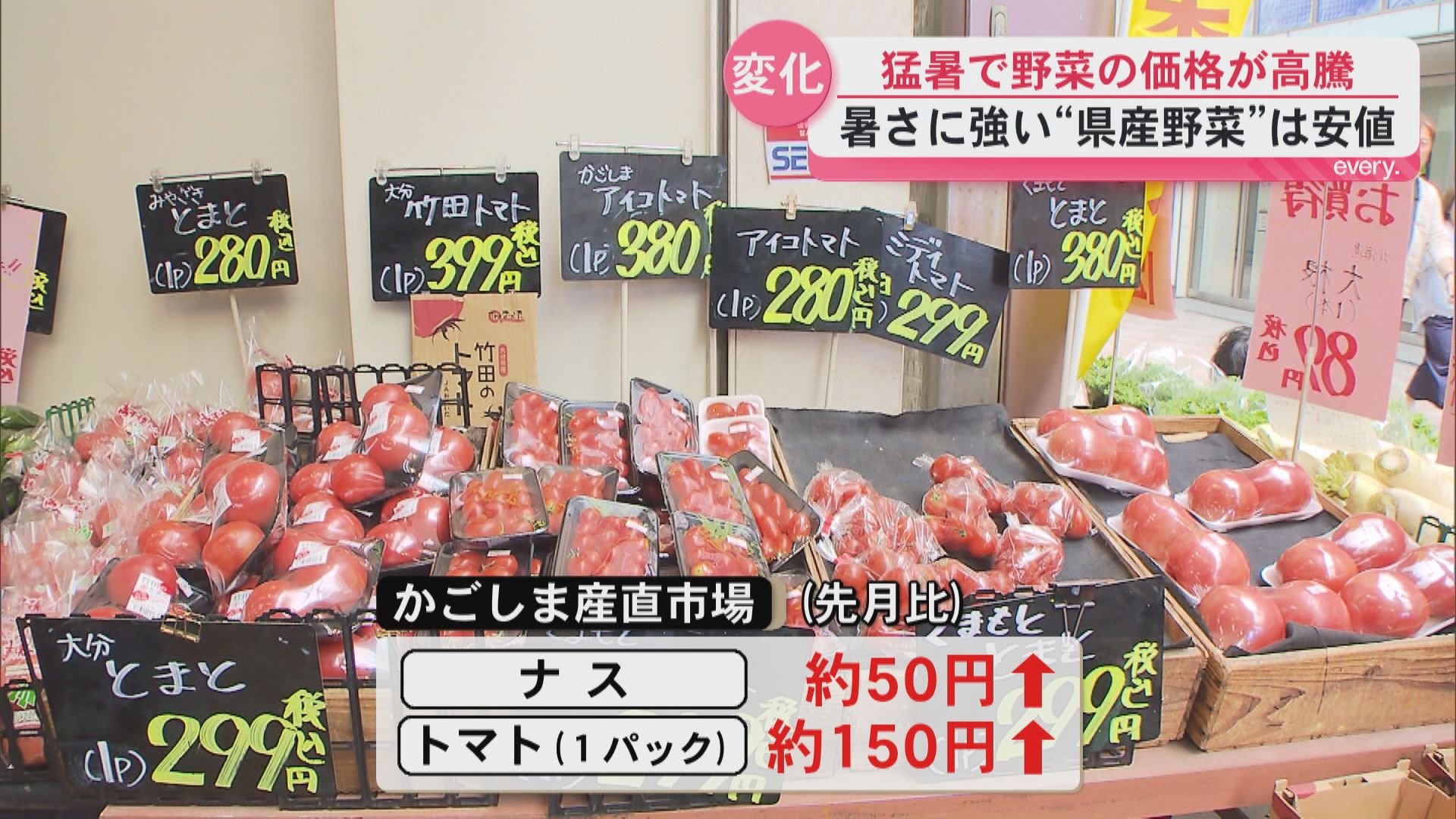 「トマトが高い」猛暑の影響で野菜の価格が高騰