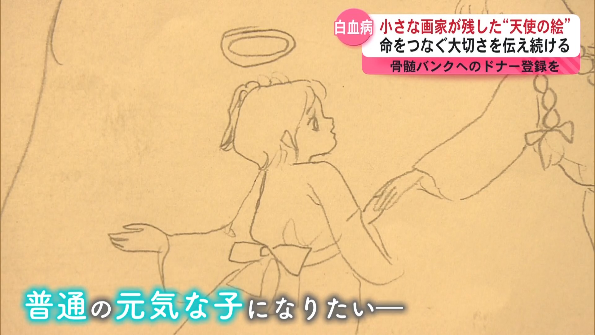 白血病で亡くなった“小さな画家” 夢の足跡が訴える命をつなぐ大切さ 骨髄バンクの現状と必要性