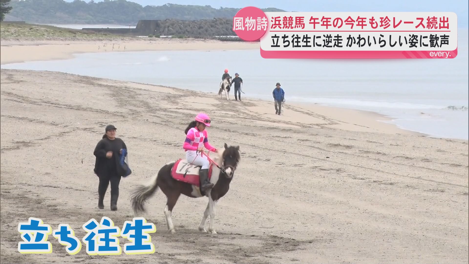 ゴール目指して一直線…とはいかず？60年以上続く春の風物詩　照島海岸の浜競馬に1万人が歓声