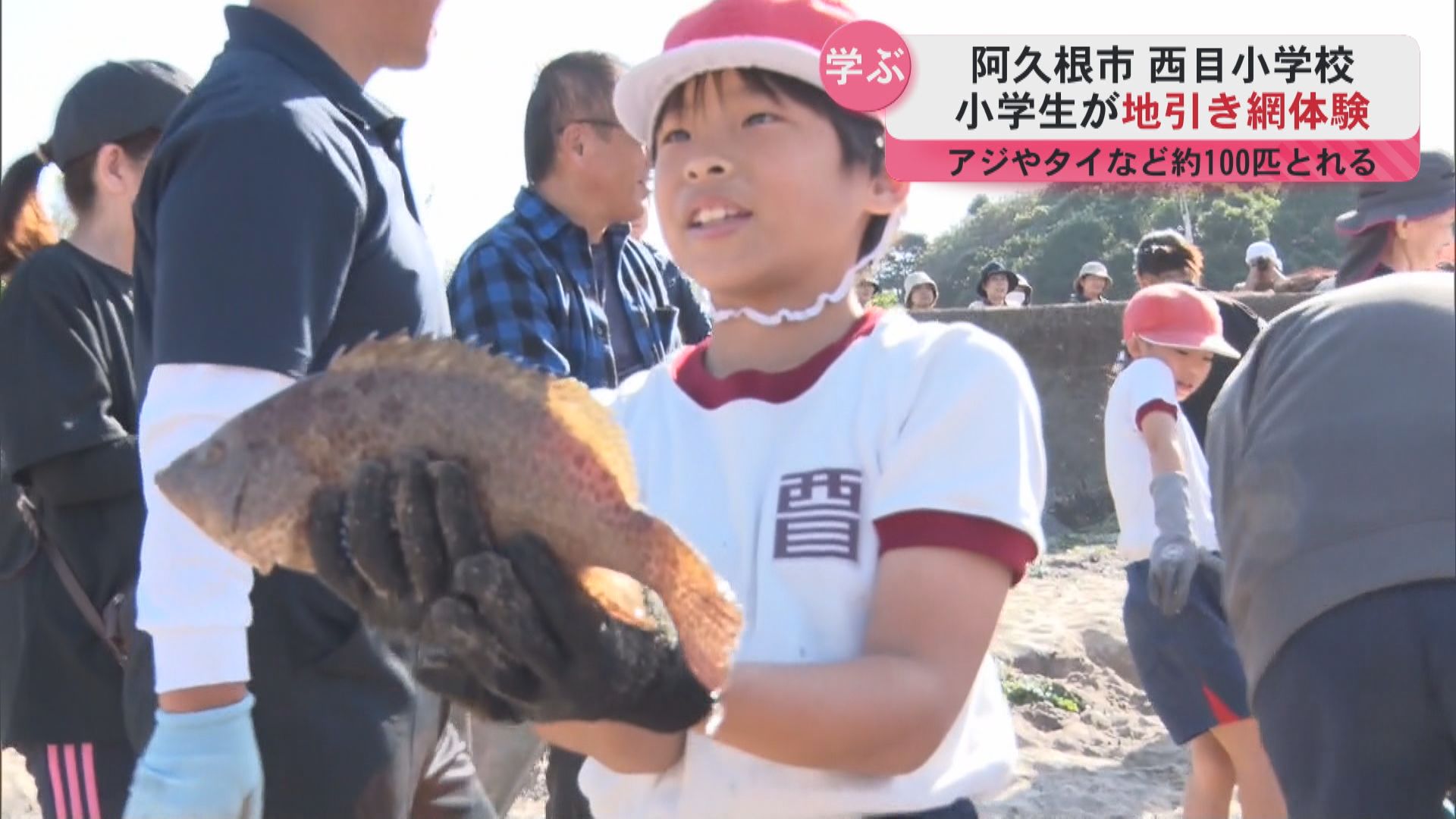 「フライにして食べる」　阿久根市の小学校で地引き網体験　アジやイカ、タイなど約100匹