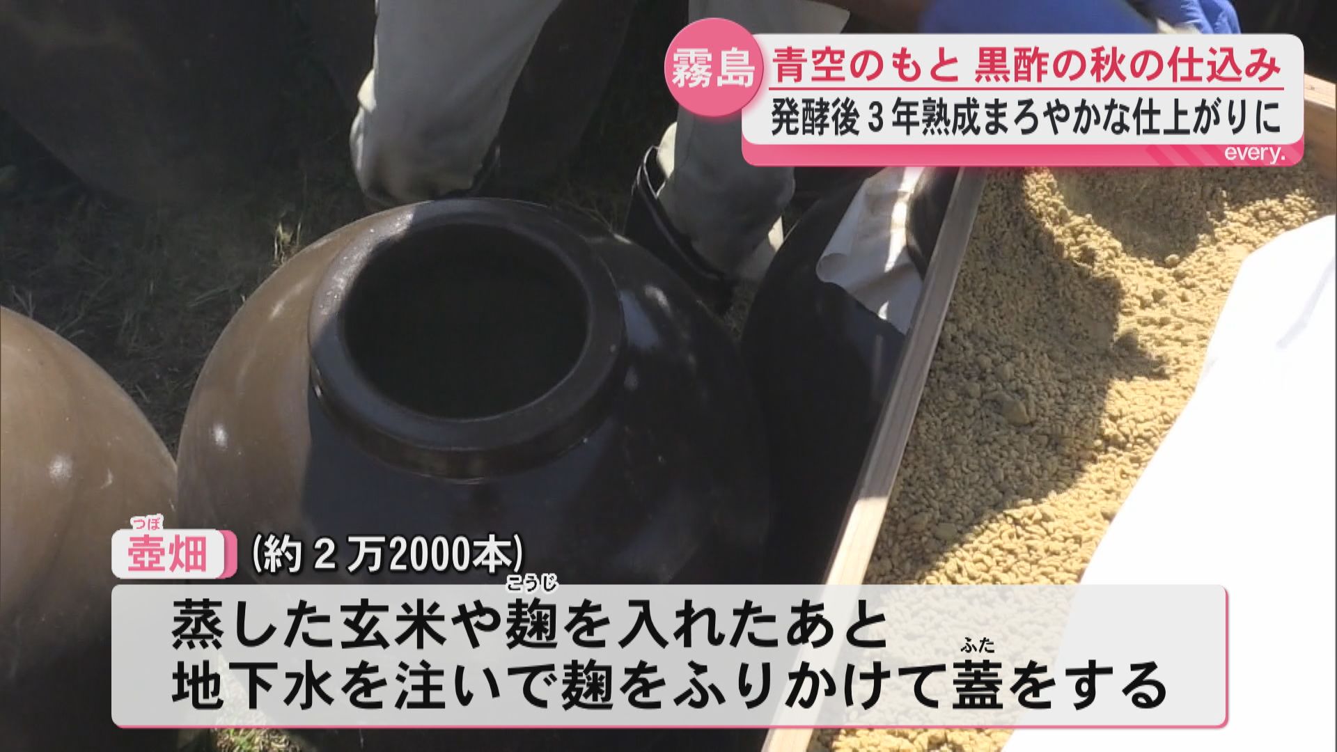 「子どもを育てるように1本1本発酵」黒酢の秋の仕込み　壺畑には約2万2000本の壺
