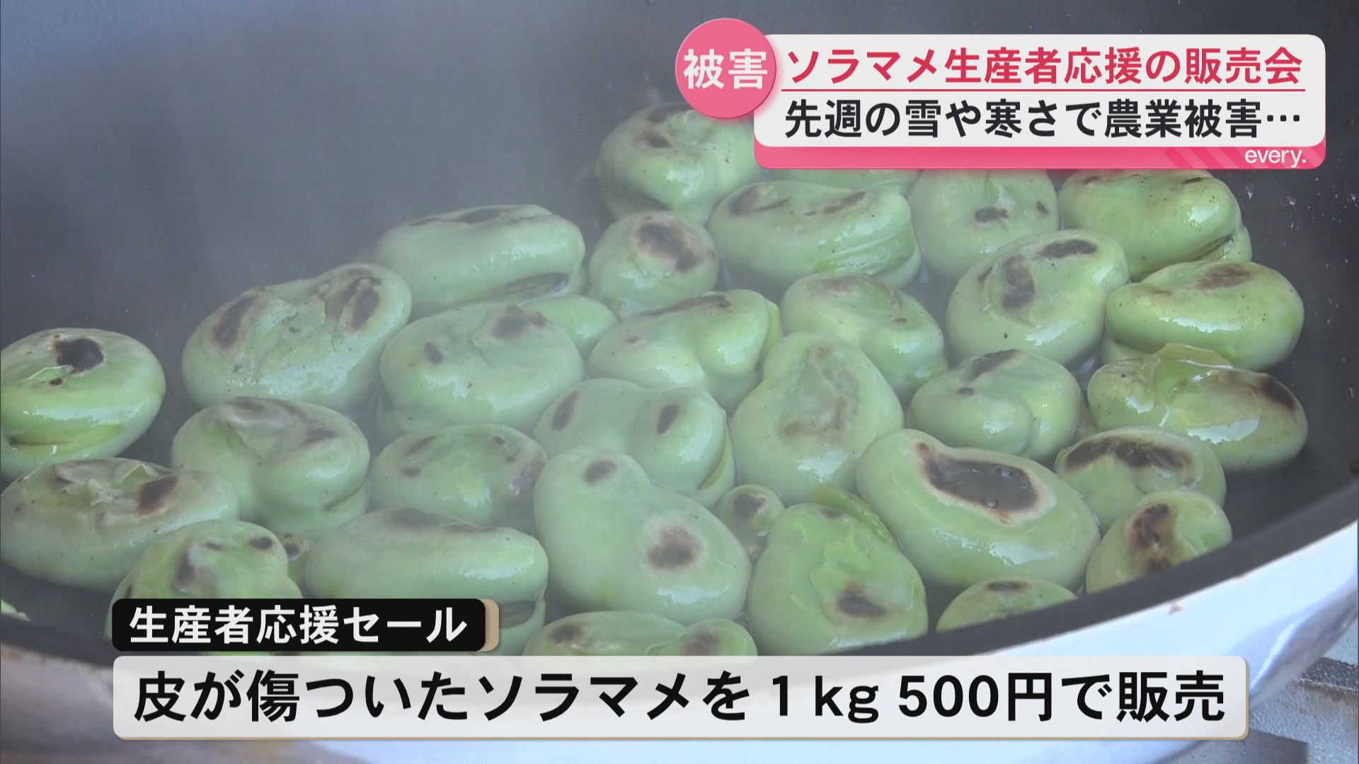 指宿市や南さつま市でソラマメなど低温被害　鹿児島市で応援セール　指宿市では被害額6億円超見込み