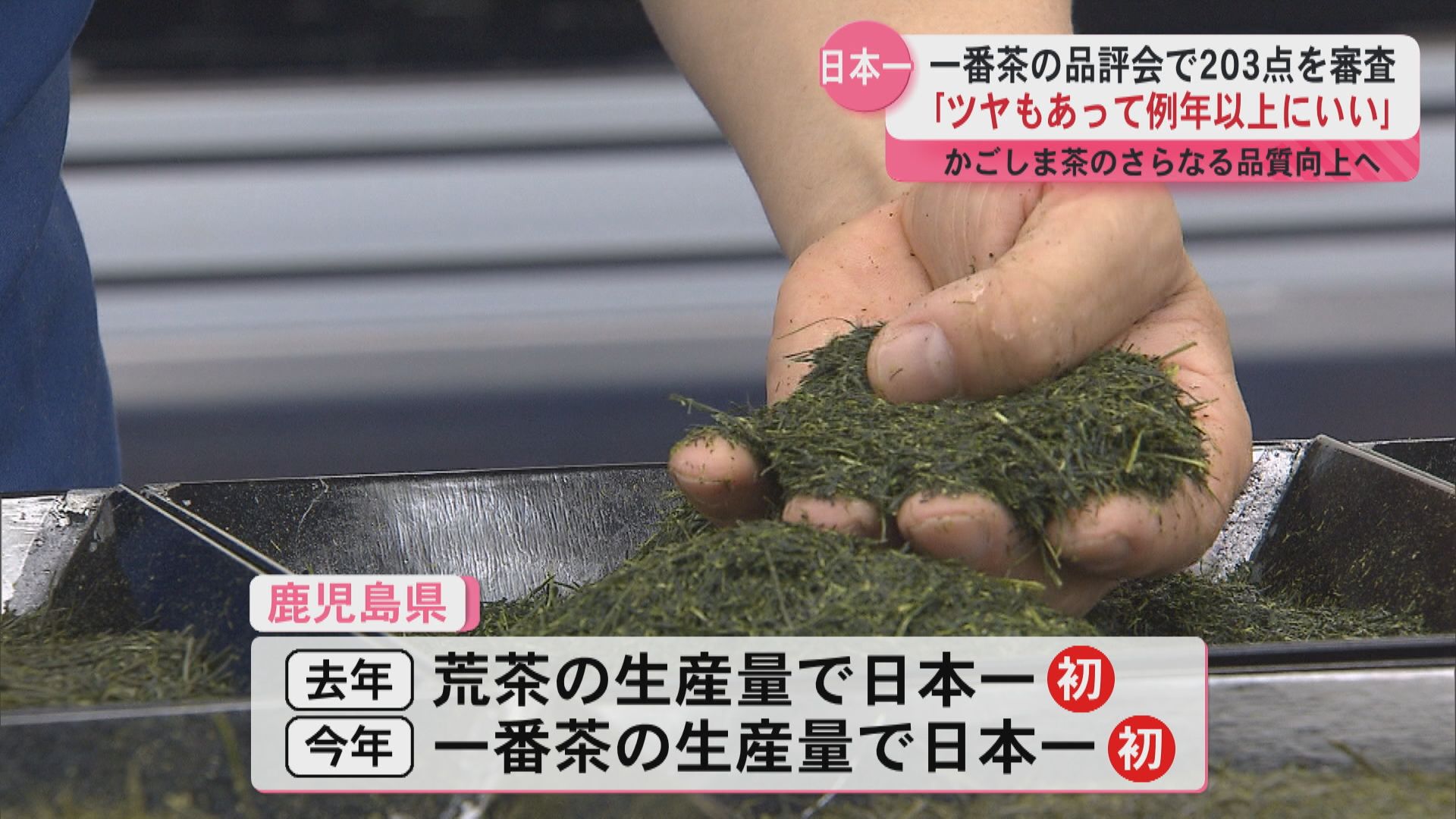 「責任ある産地として」鹿児島市で一番茶の品評会を開催 かごしま茶のさらなる品質の向上へ