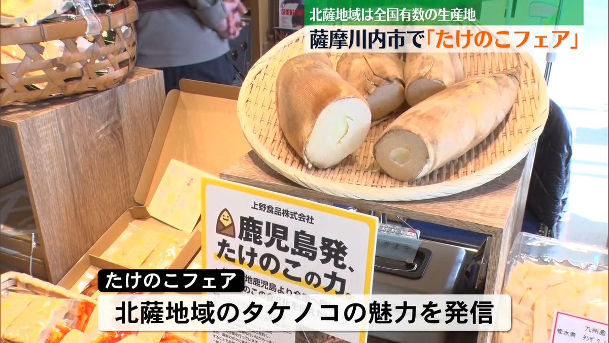 薩摩川内市でたけのこフェア 北薩地域のタケノコの魅力を発信 親子向け