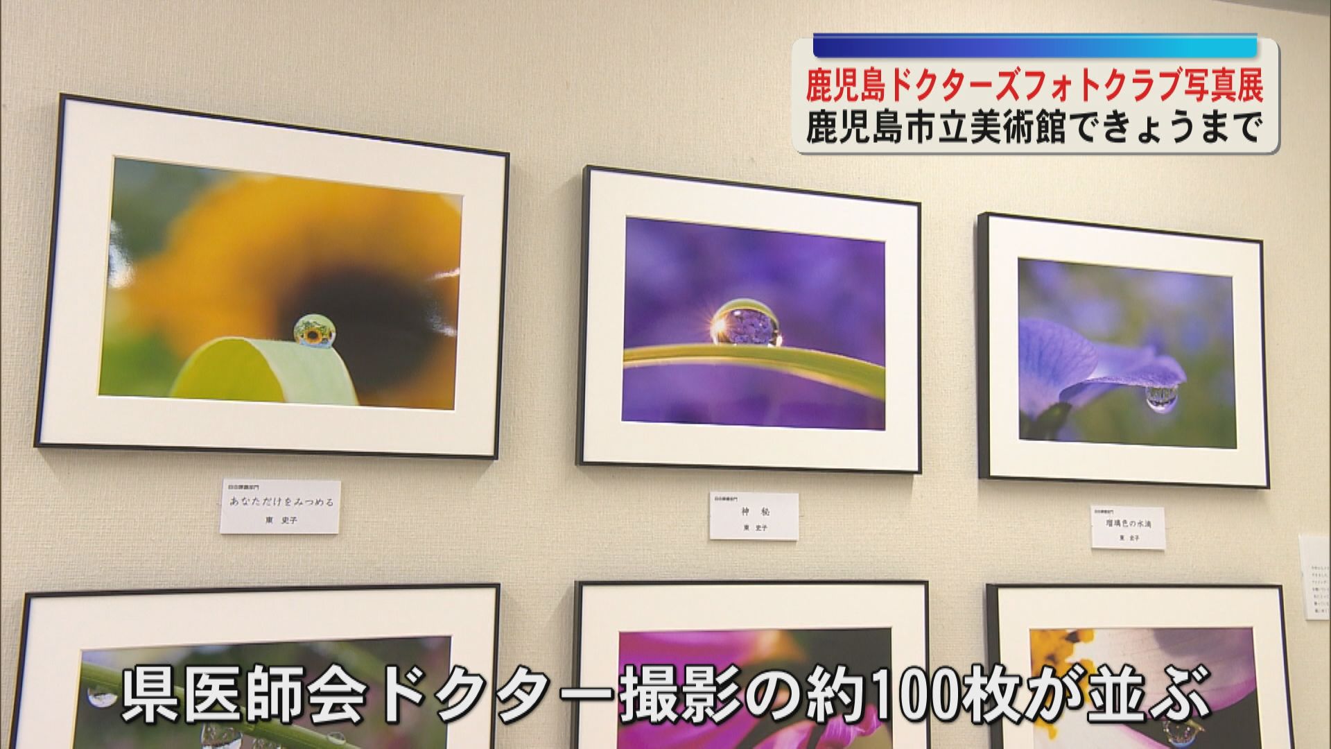 鹿児島ドクターズフォトクラブ写真展　鹿児島市立美術館に並ぶ約100枚