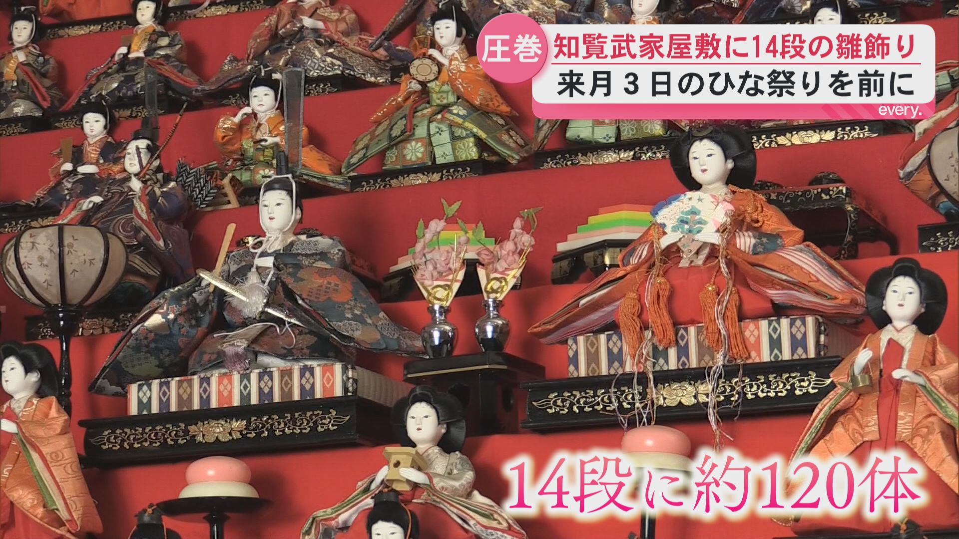 ひな祭り前に“14段の雛飾り”がお目見え　知覧武家屋敷庭園　華やかさで観光客も魅了