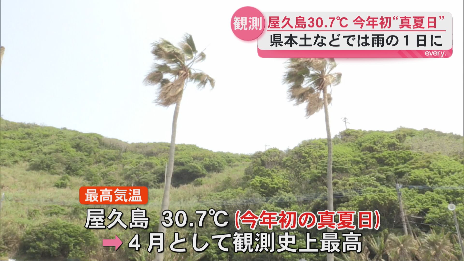 「南国ですね！」県内は各地で雨の一日  屋久島では30.7℃と今年初の真夏日―4月として観測史上最高