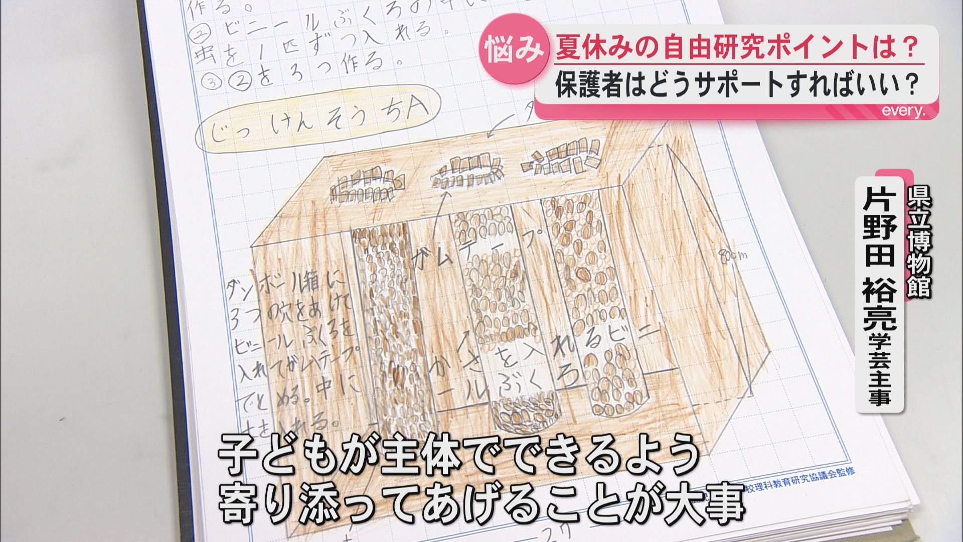 「こうした方がいい」は逆効果？自由研究で親が気を付けたいこと　博物館職員に聞く上手な関わり方