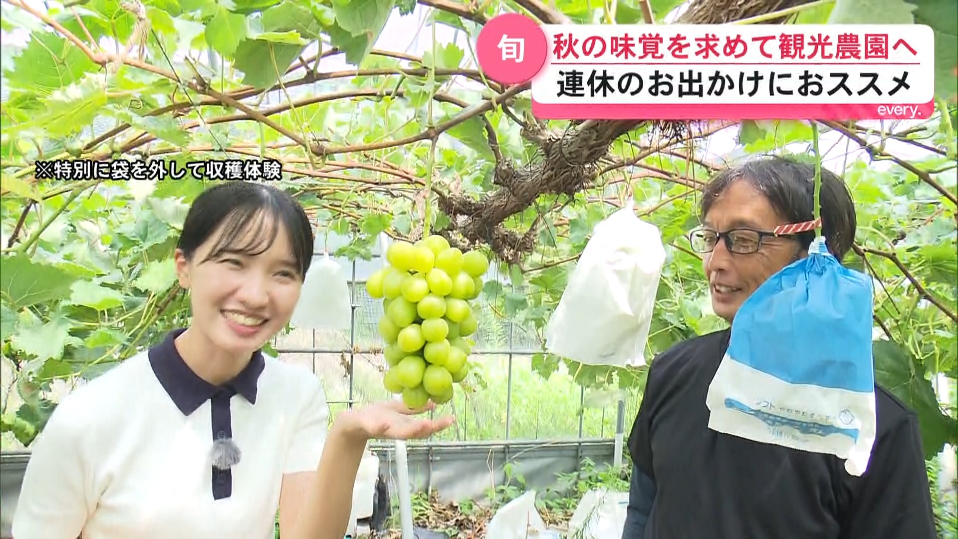 「ブドウ園に来ないと1年が終わらない」希少なブドウも！荒場気象予報士が巡る霧島の秋の味覚