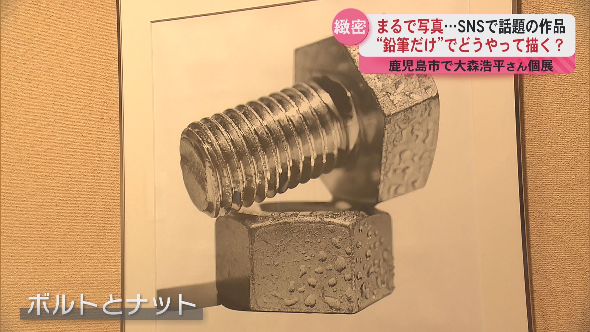 神経質な性格が生む緻密な鉛筆画 