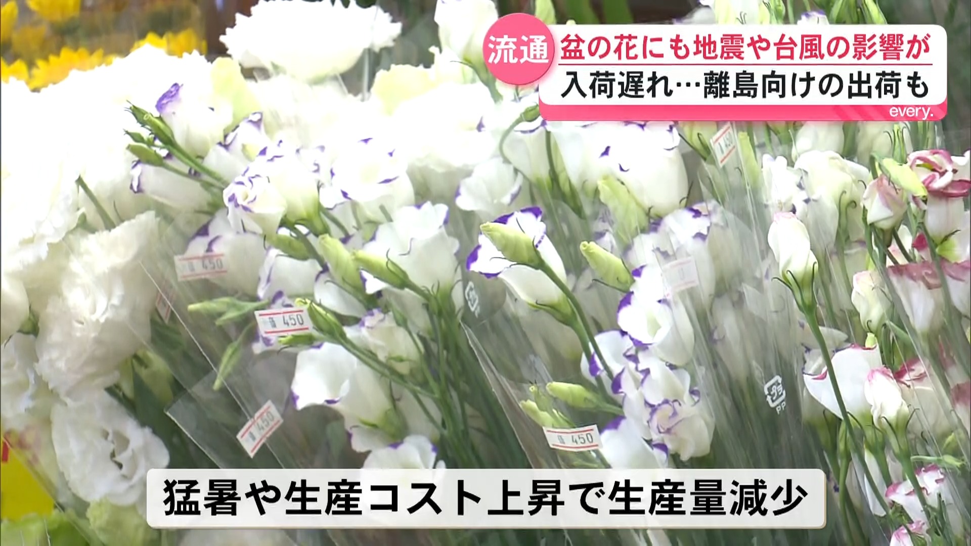 墓参りに欠かせない花の流通にも熊本地震や台風の影響が　船の欠航で離島から入荷できず