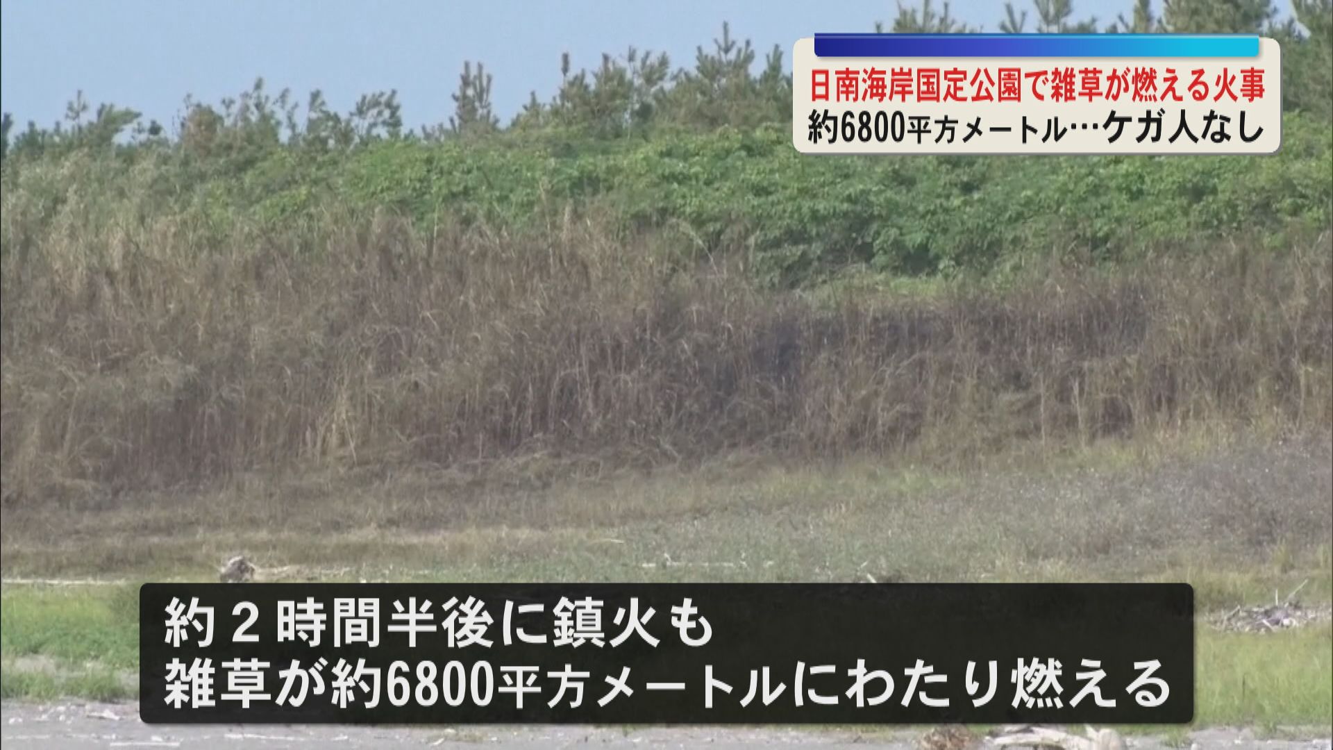 志布志市の日南海岸国定公園で火事　雑草が約6800平方メートルにわたり燃える　ケガ人なし