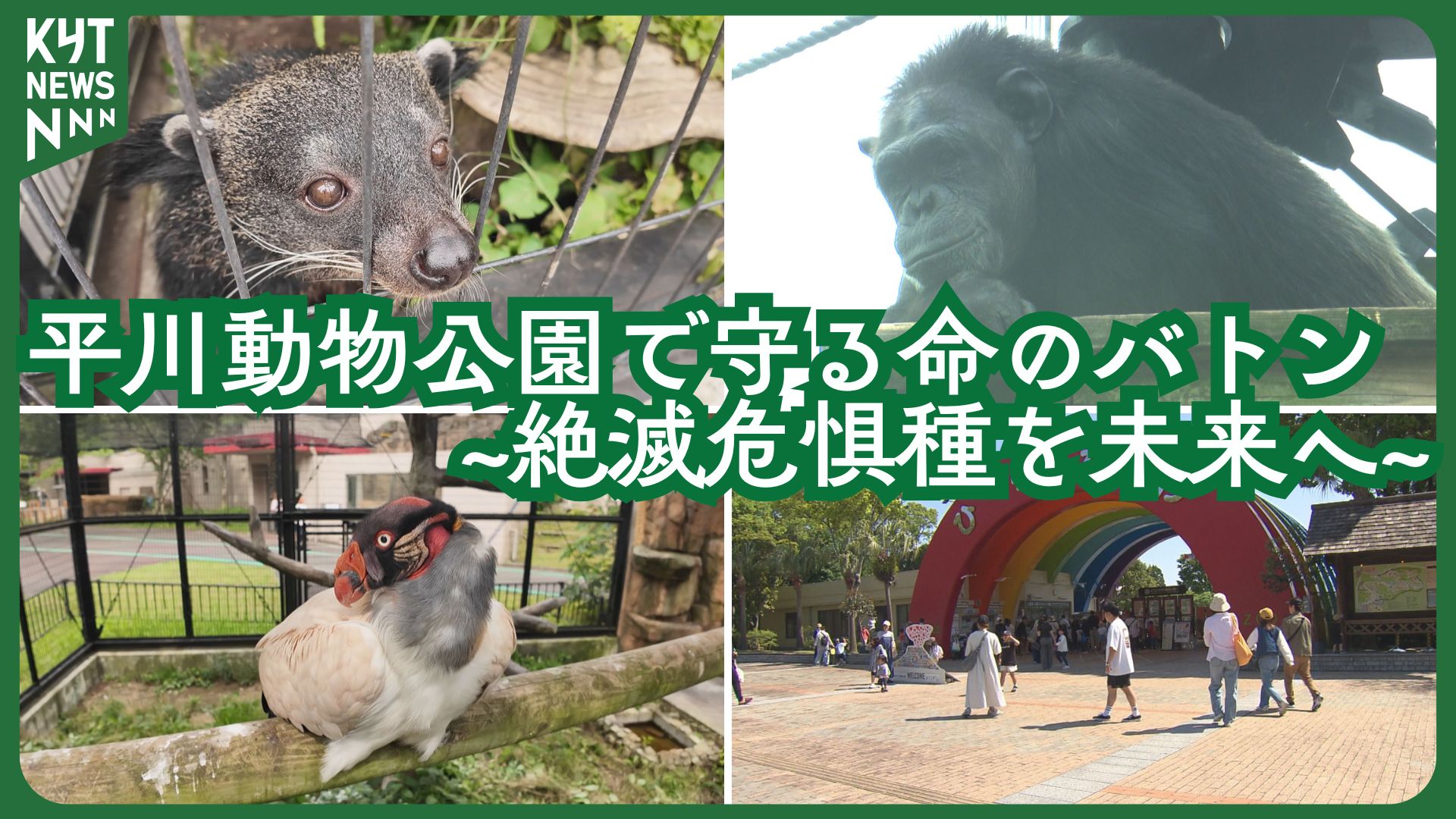 【テキスト】絶滅危惧種と向き合う動物園の挑戦 鹿児島・平川動物公園が伝える“命を未来へつなぐ”取り組み