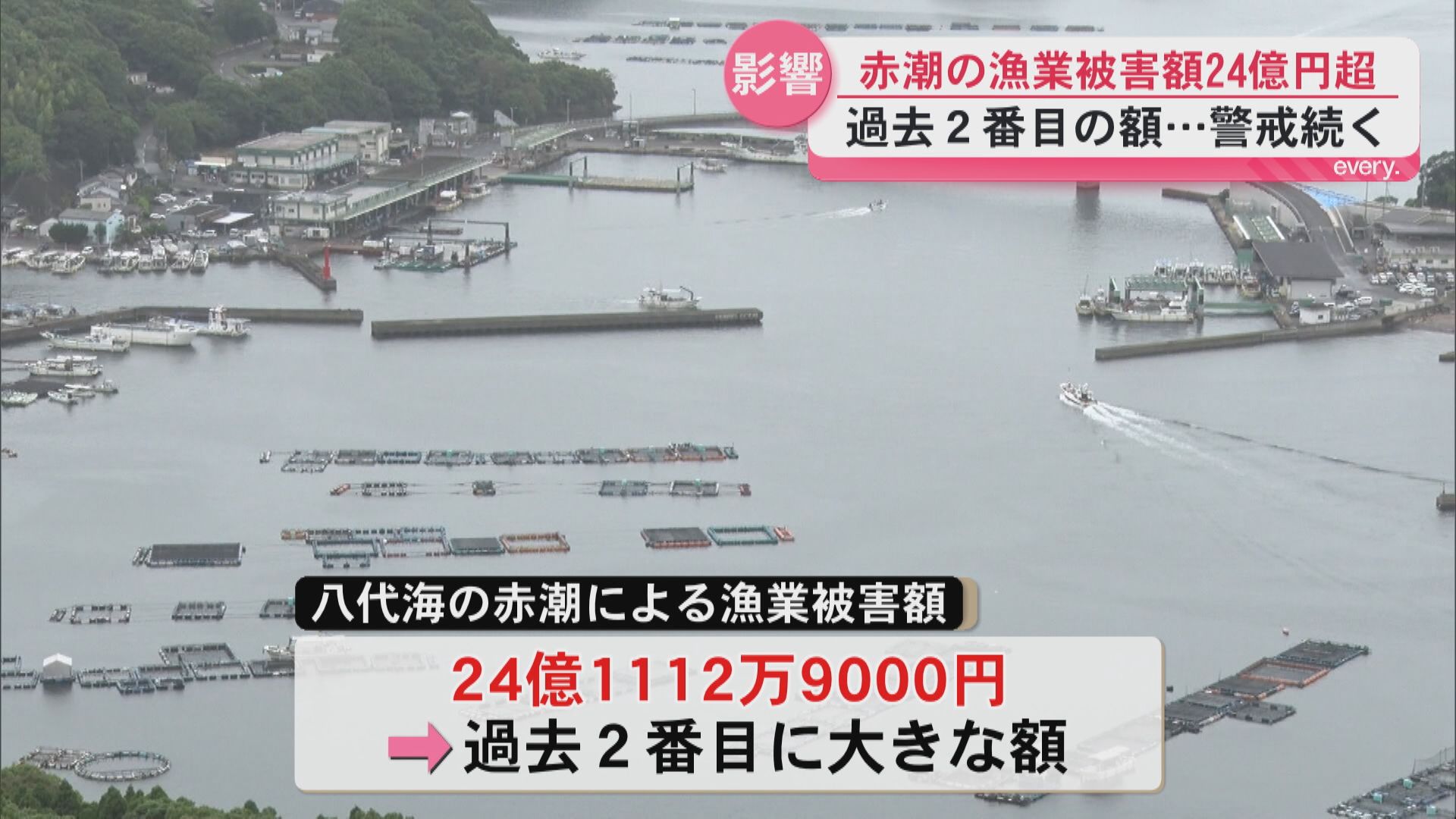 103万匹が死滅…長島町沖の赤潮被害24億円超　県内で過去2番目の深刻被害