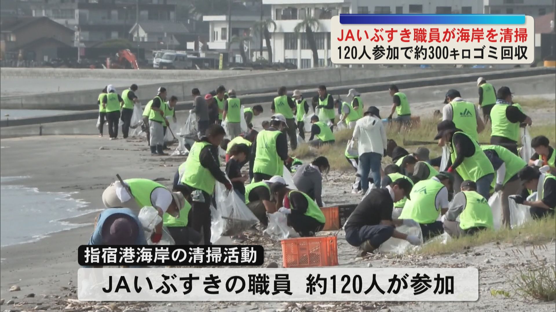 ＪＡいぶすき職員が指宿港海岸の清掃活動　120人で約300キロのゴミ回収