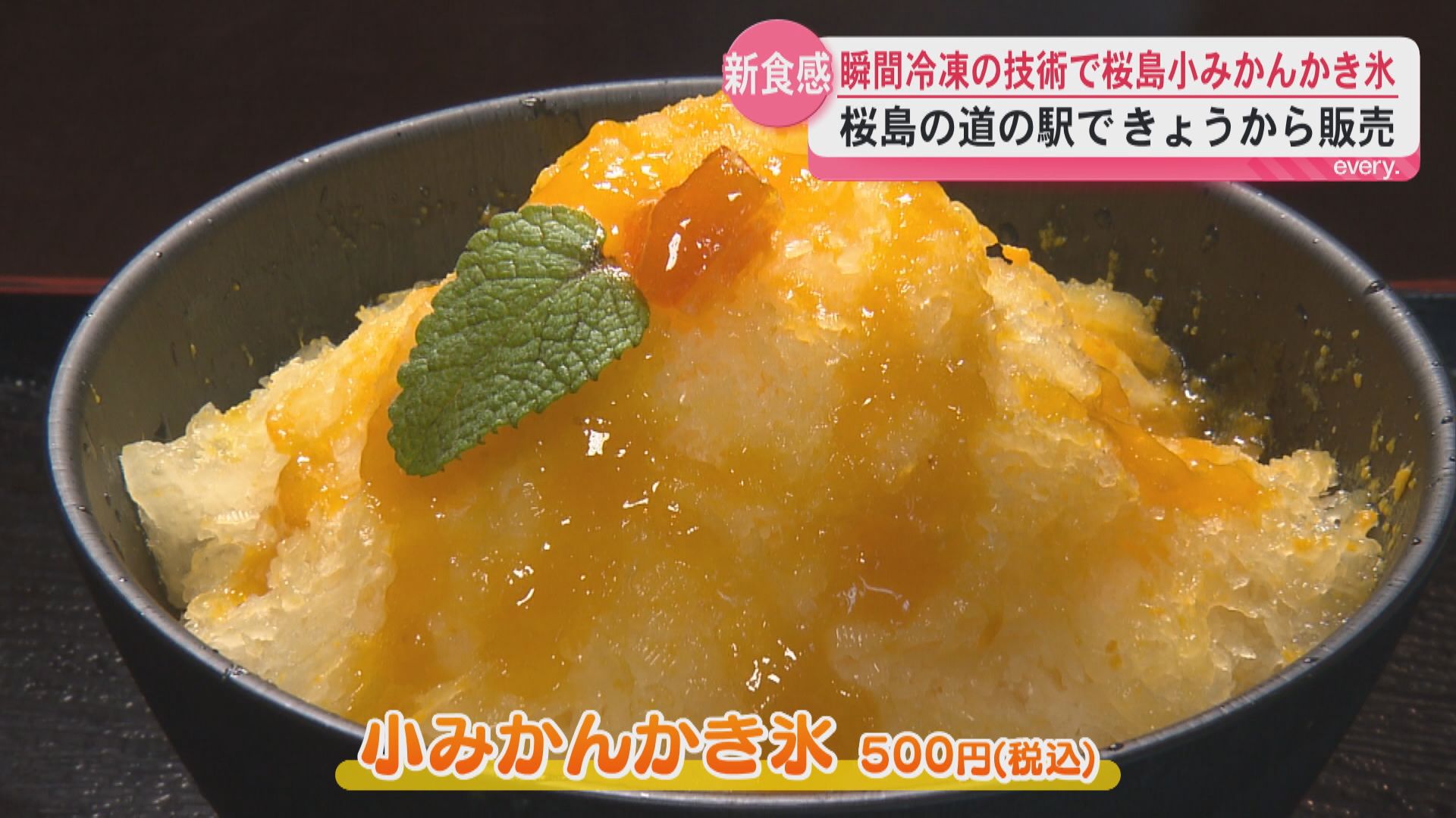 「果物をそのまま食べているみたい」桜島小みかんを丸ごと味わう“氷なし”かき氷　夏限定で販売開始