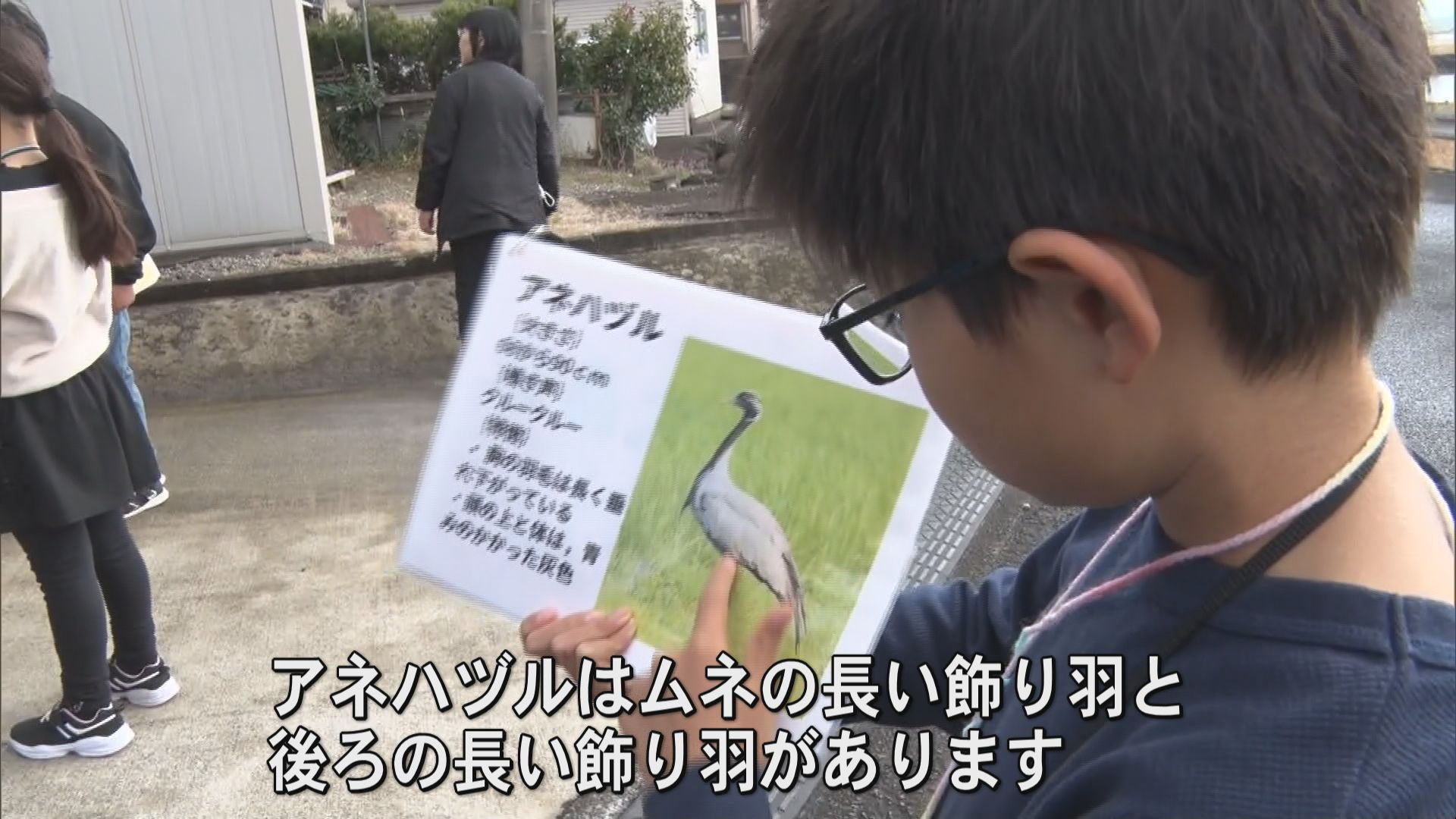 自然を感じ歴史を学ぶ蕨島ウォークラリー大会　出水市・蕨島小学校の児童が企画　