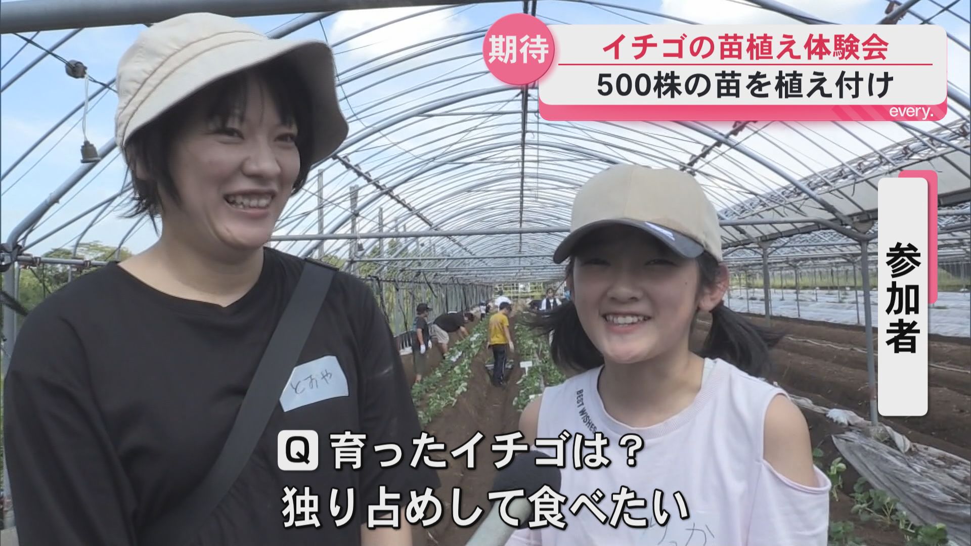 イチゴ狩りの日を楽しみに…親子で苗の植え付け体験　鹿屋市の黒羽子観光農園