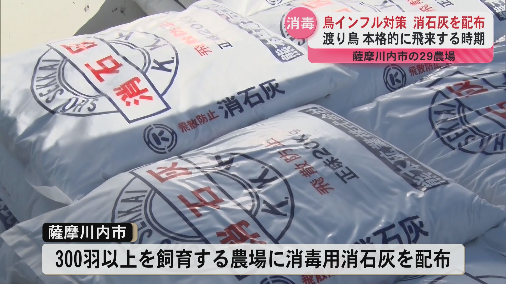 渡り鳥が本格的に飛来する時期…鳥インフルエンザに備え消石灰配布　薩摩川内市の養鶏場