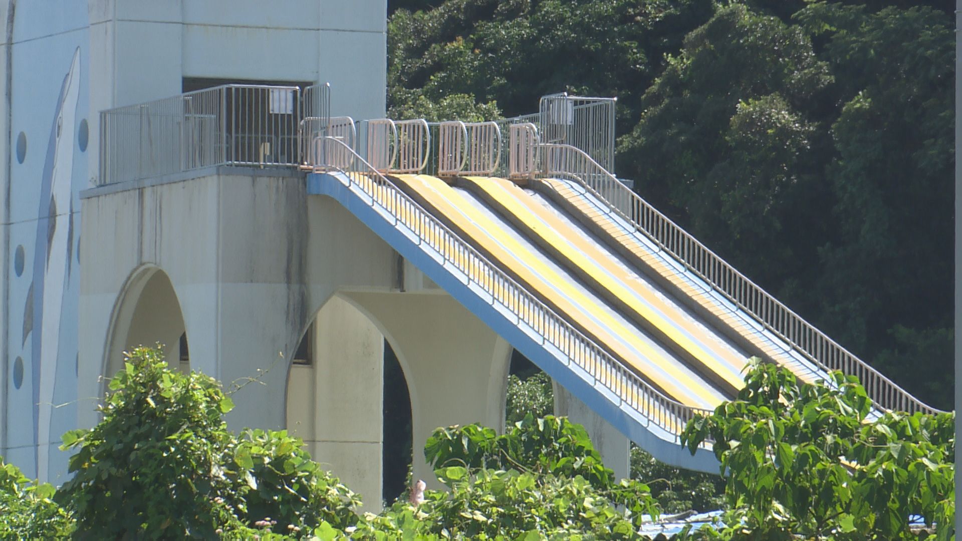 七ツ島 サン ライフ プール コレクション 帽子