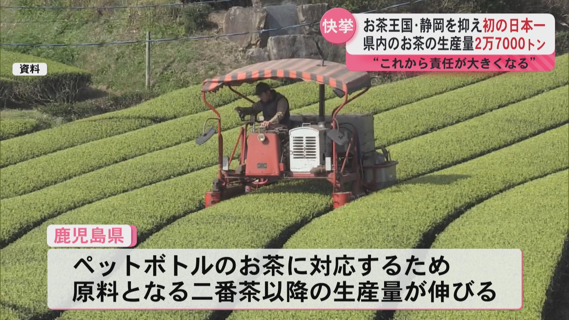 お茶王国・静岡を抑え”初の日本一” 県内のお茶の生産量2万7000トン