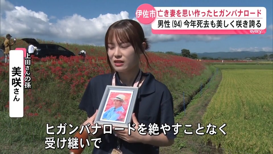 亡き妻に捧げたヒガンバナロード「じいちゃんの花を残したい」亡くなった祖父の情熱を孫がつなぐ