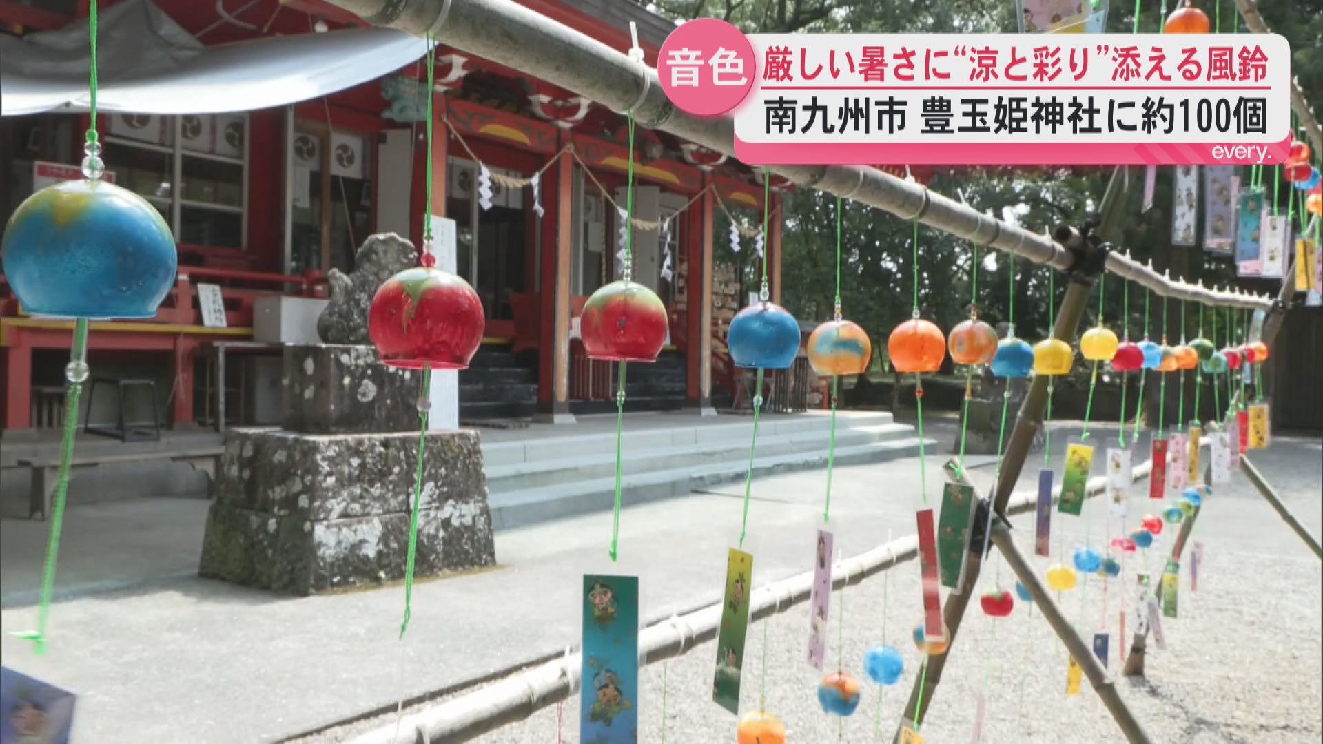 風が吹くたび境内に涼やかな音色「音だけで涼しさを感じる」南九州市・豊玉姫神社に色とりどりの風鈴