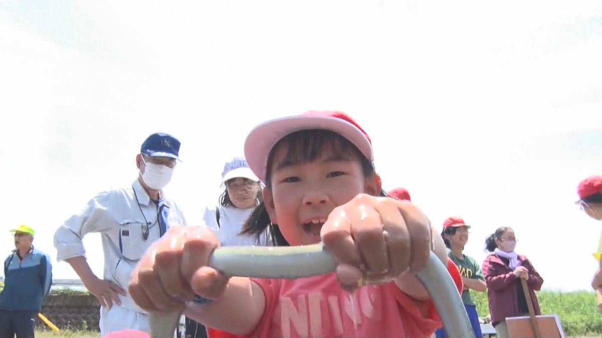  薩摩川内市で小学生がウナギの放流体験