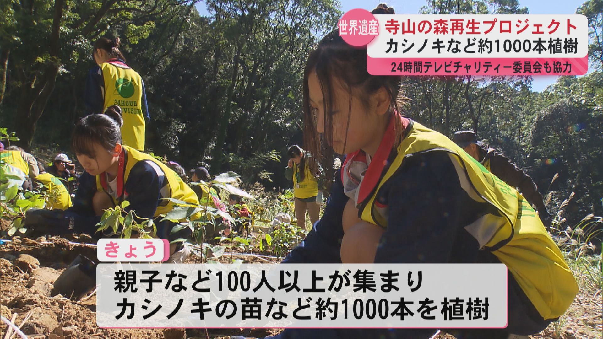 「大きくなるのが楽しみ」　子供たちが植樹に挑戦　世界遺産寺山の森再生プロジェクト　24時間テレビチャリティ委員会も協力
