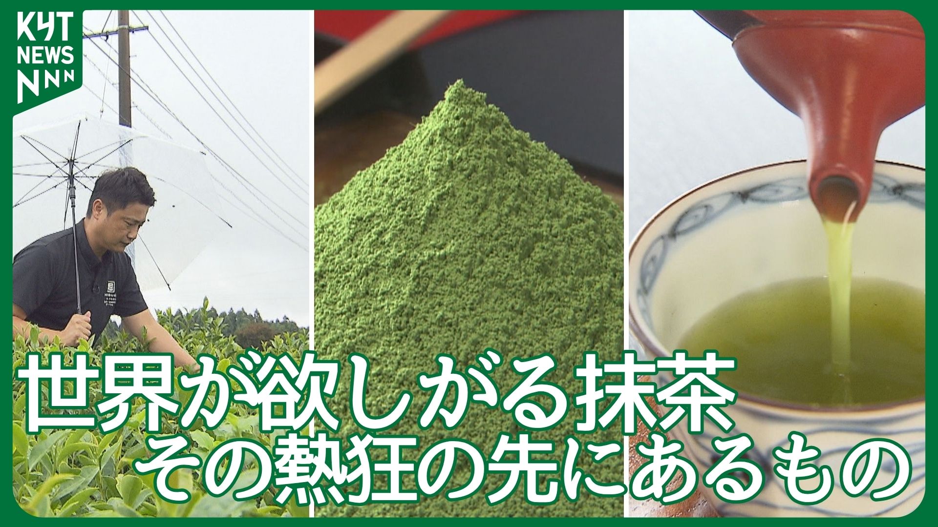 「日本のお茶はまだまだやっていないことが多い」抹茶バブルの先へ―― 日本一の鹿児島茶が挑む“次の価値”