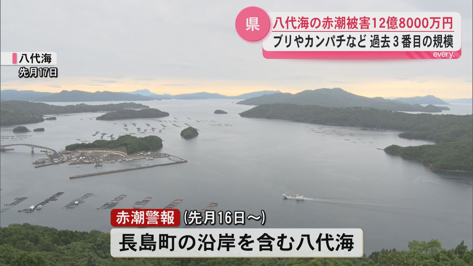 【長島町】赤潮で養殖魚31万匹超に被害――被害額12億8000万円　2011年以降最大…さらに拡大か
