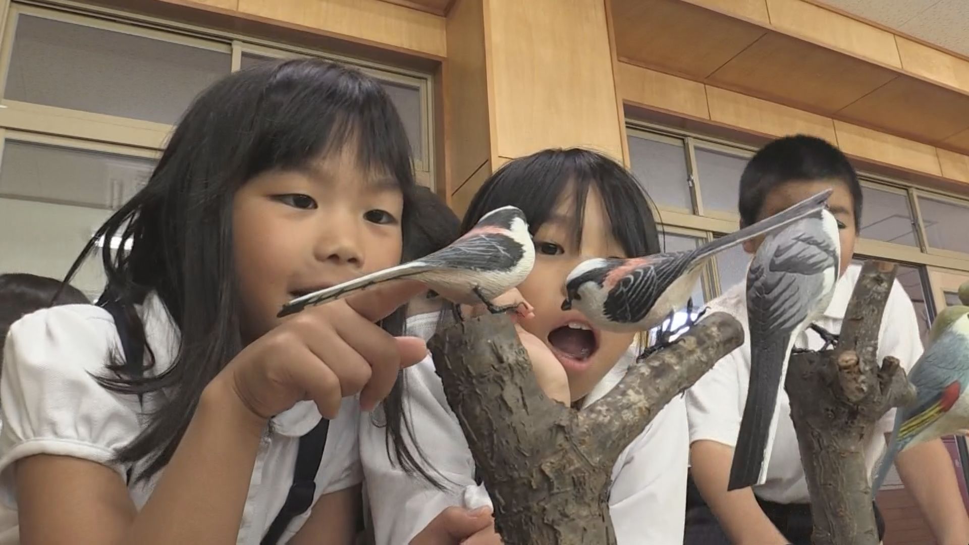 木彫りの野鳥を贈呈 子どもたちは興味津々 「鳥や自然に親しんで 木彫りの野鳥を贈呈 子どもたちは興味津々 「鳥や自然に親しんで