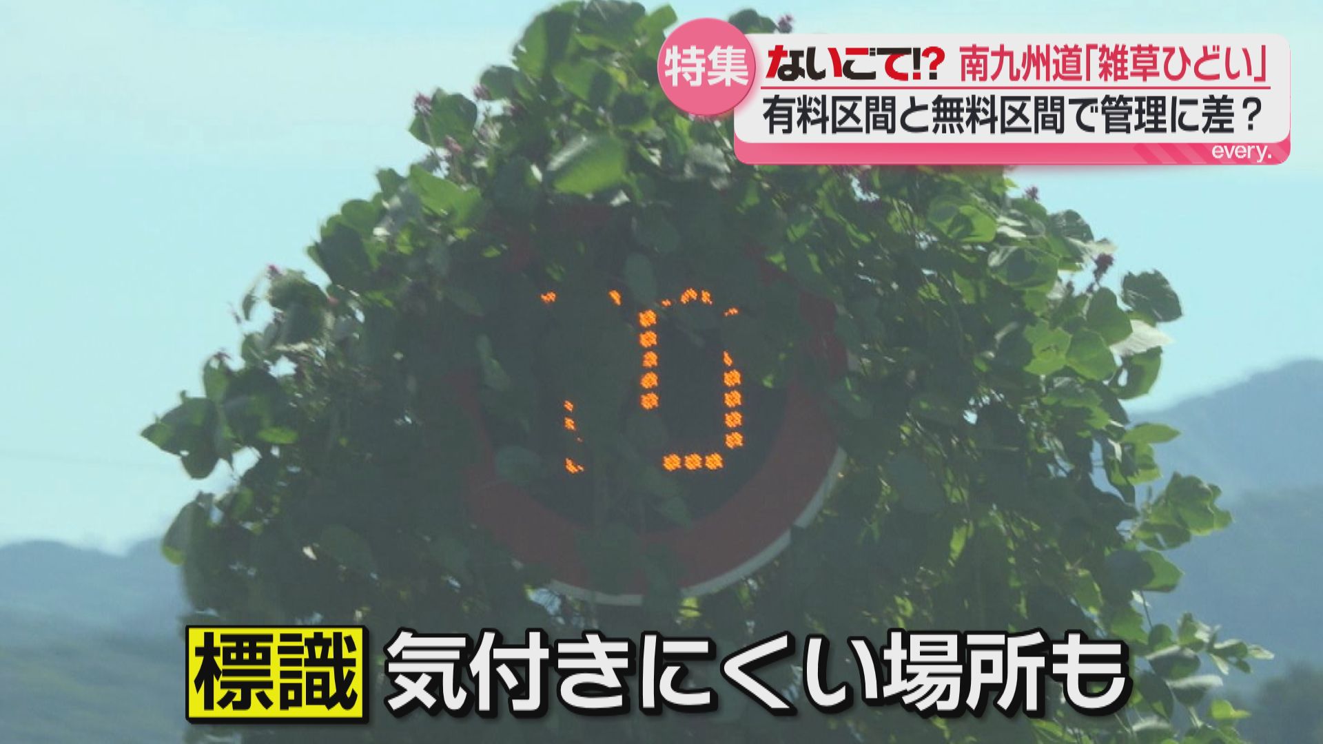 「事故リスクゼロとは言えない」ないごて!?雑草で標識隠れる南九州西回り自動車道　国交省の見解は!?