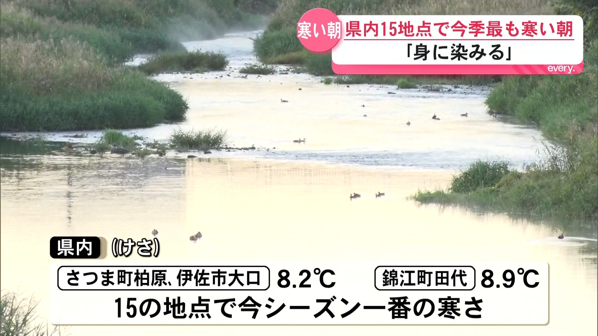 野菜の葉に朝露が　15の地点で今シーズン一番の寒さ　あす朝も気温が下がる見込み