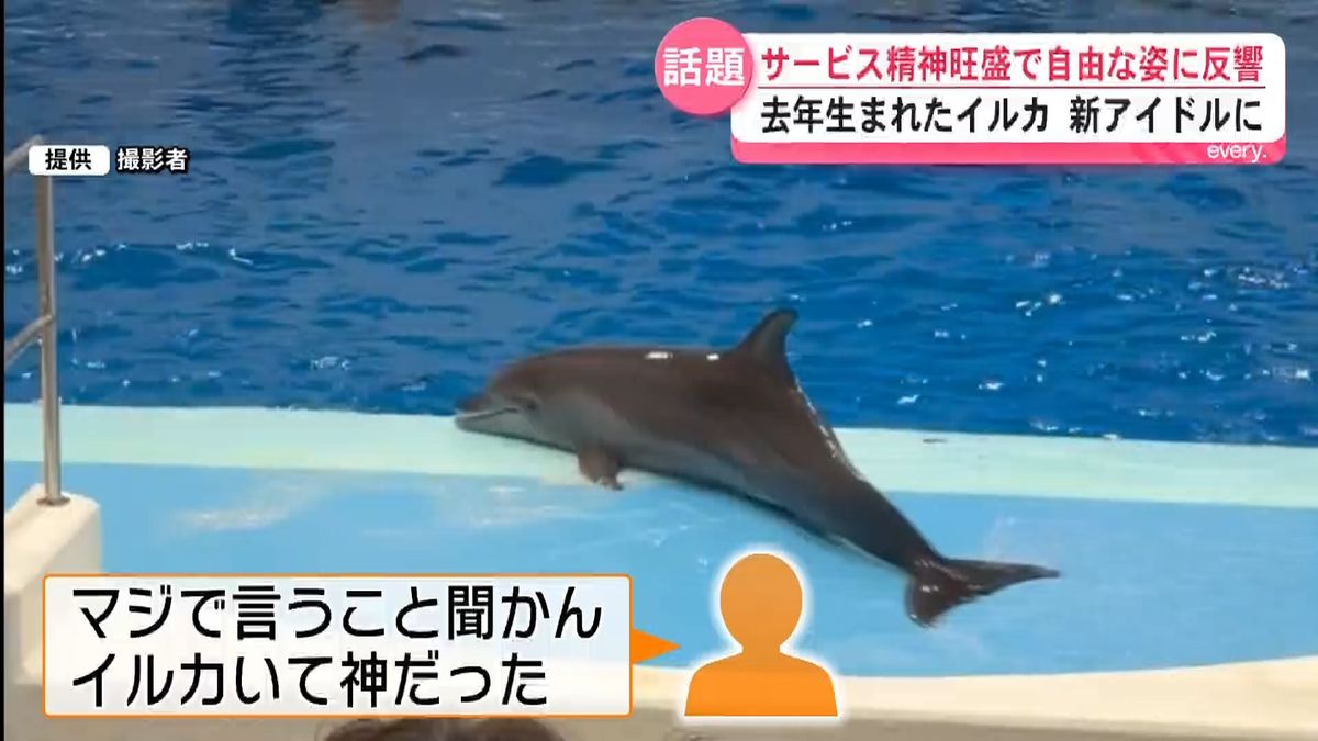 マジで言うこと聞かんイルカいて神だった！」自由すぎるユキの遊びに