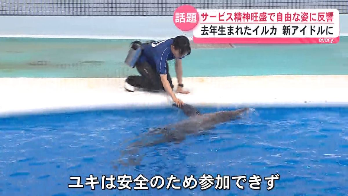 2ページ目 「マジで言うこと聞かんイルカいて神だった！」自由すぎる