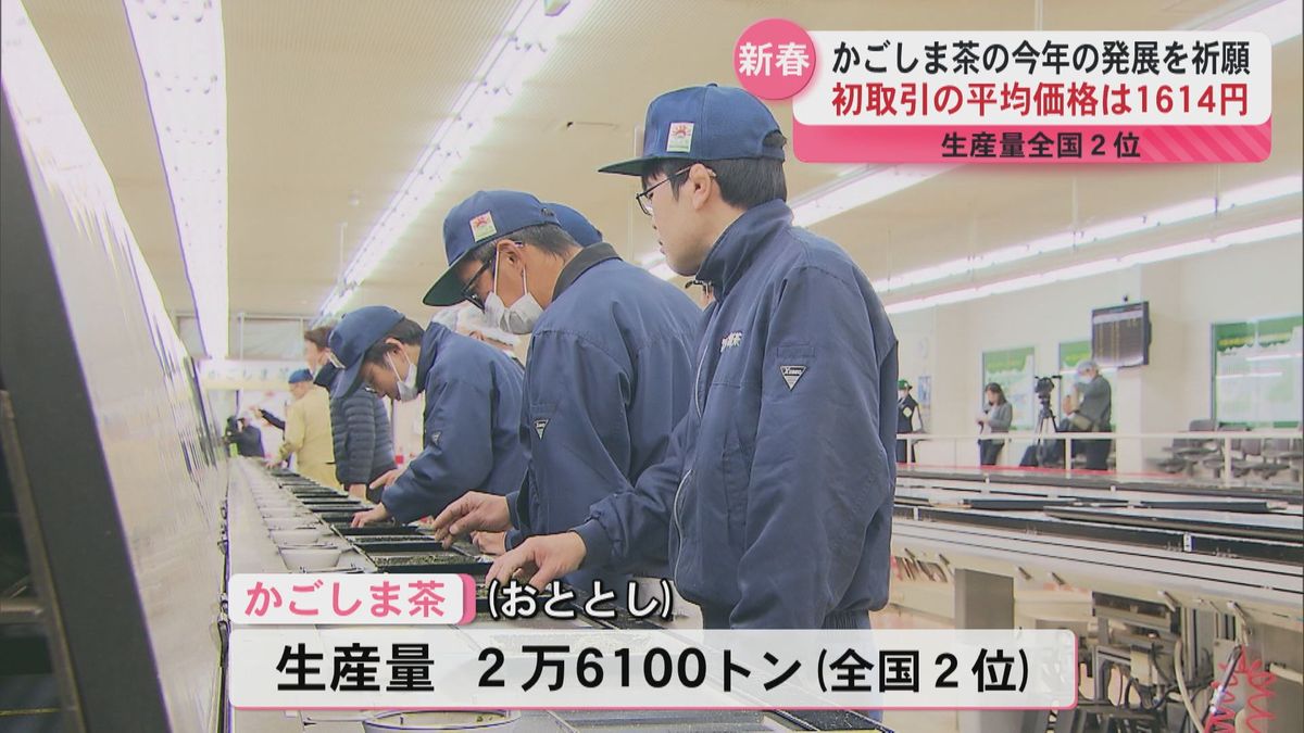 「新春にふさわしいお茶」かごしま茶新春取引　全国生産量2位のかごしま茶の発展を祈願　平均価格は1キロあたり1614円