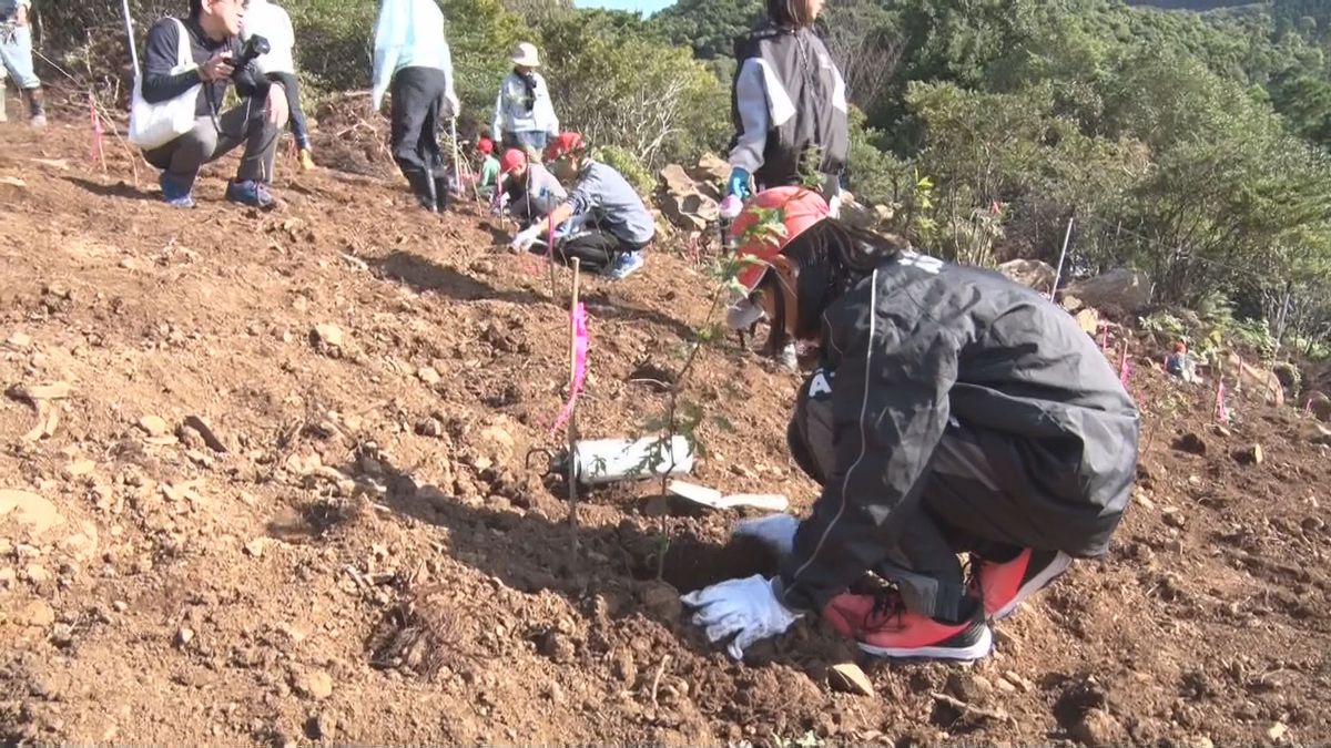 ＳＤＧｓを考えるきっかけに　出水市で子どもたちが約２５０本植樹