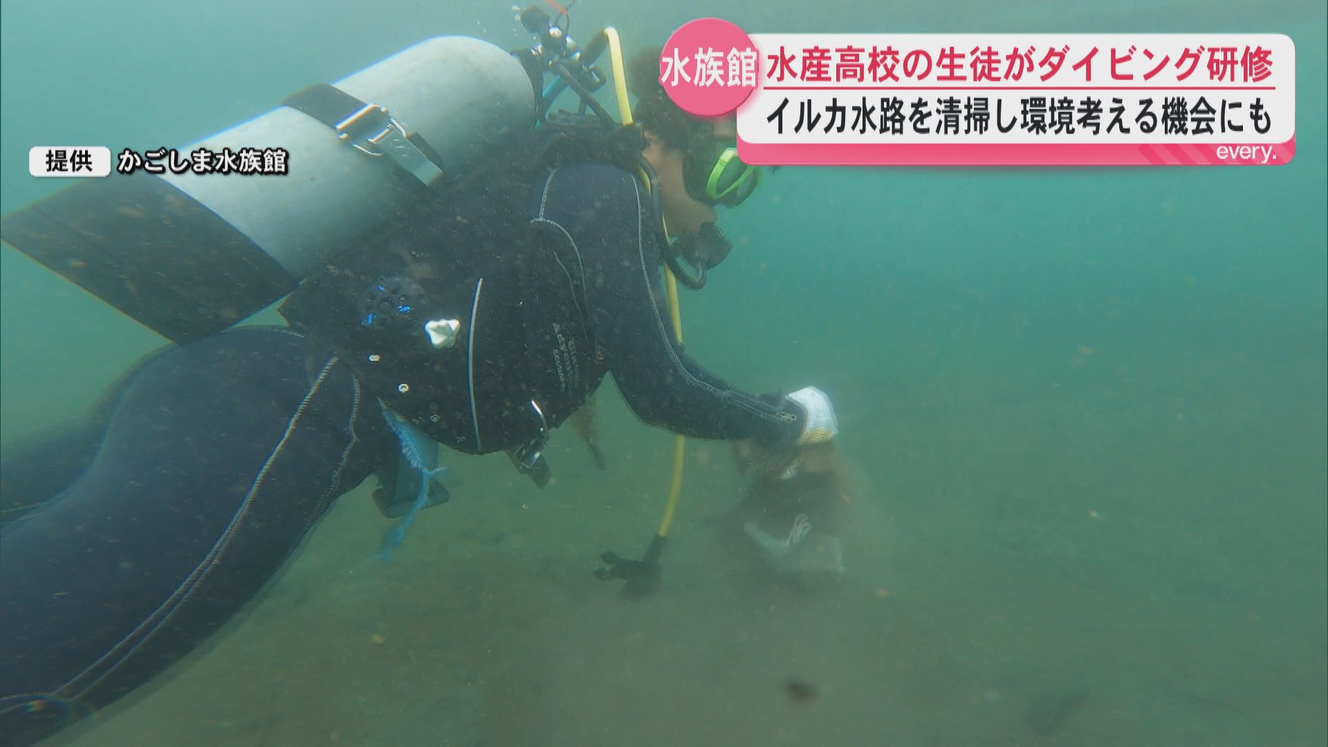 ダイビング技術の集大成“イルカ水路の大掃除”　水路の底に傘が…高校生たちが海のゴミ問題を体感