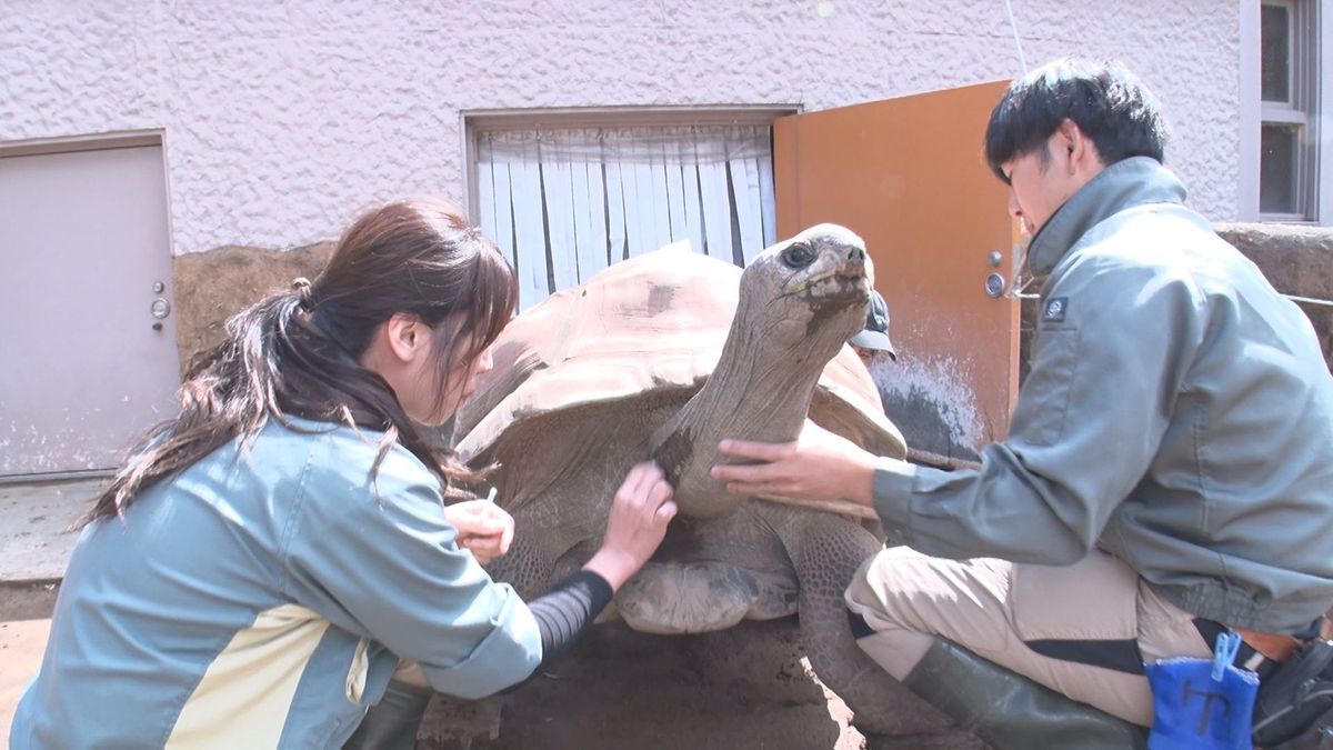 every.特捜隊！「平川動物公園」飼育員の仕事の裏側