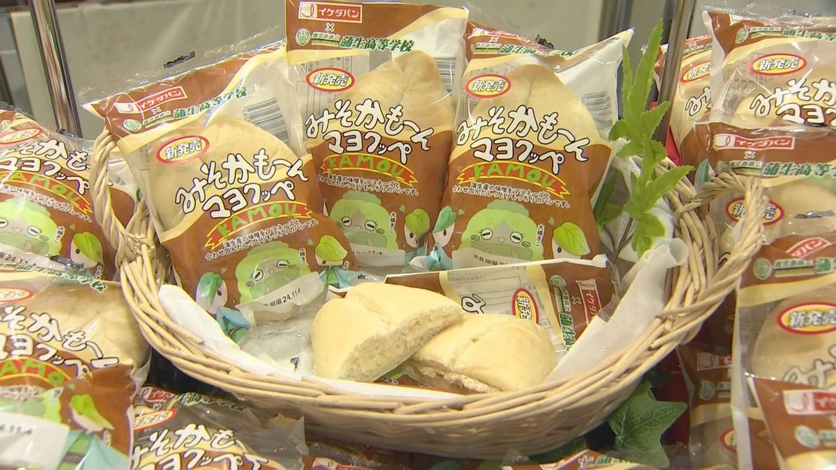 蒲生の麦味噌がミソ！　蒲生高校の生徒とイケダパンがコラボしたパン　県内のスーパーで販売