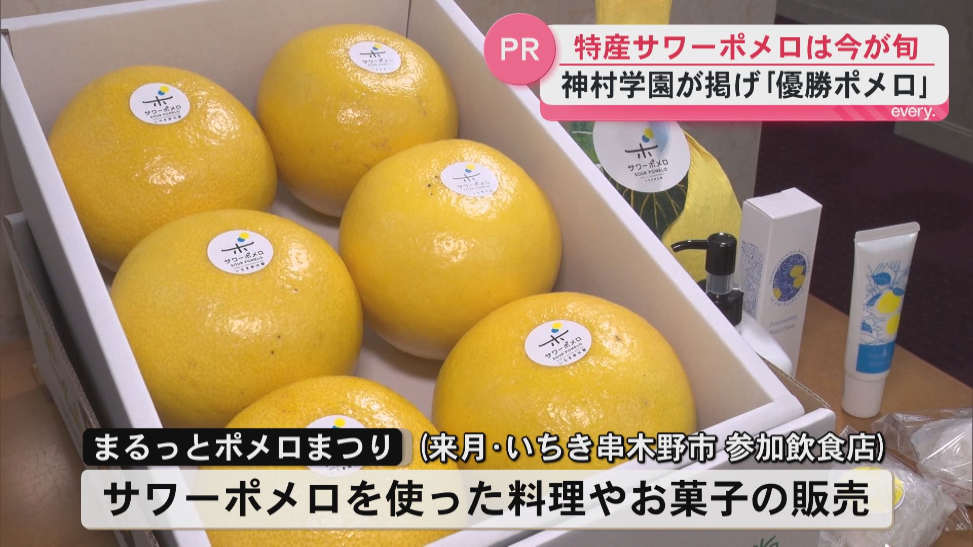 今が旬！サワーポメロの魅力を知事にPR　いちき串木野市の特産