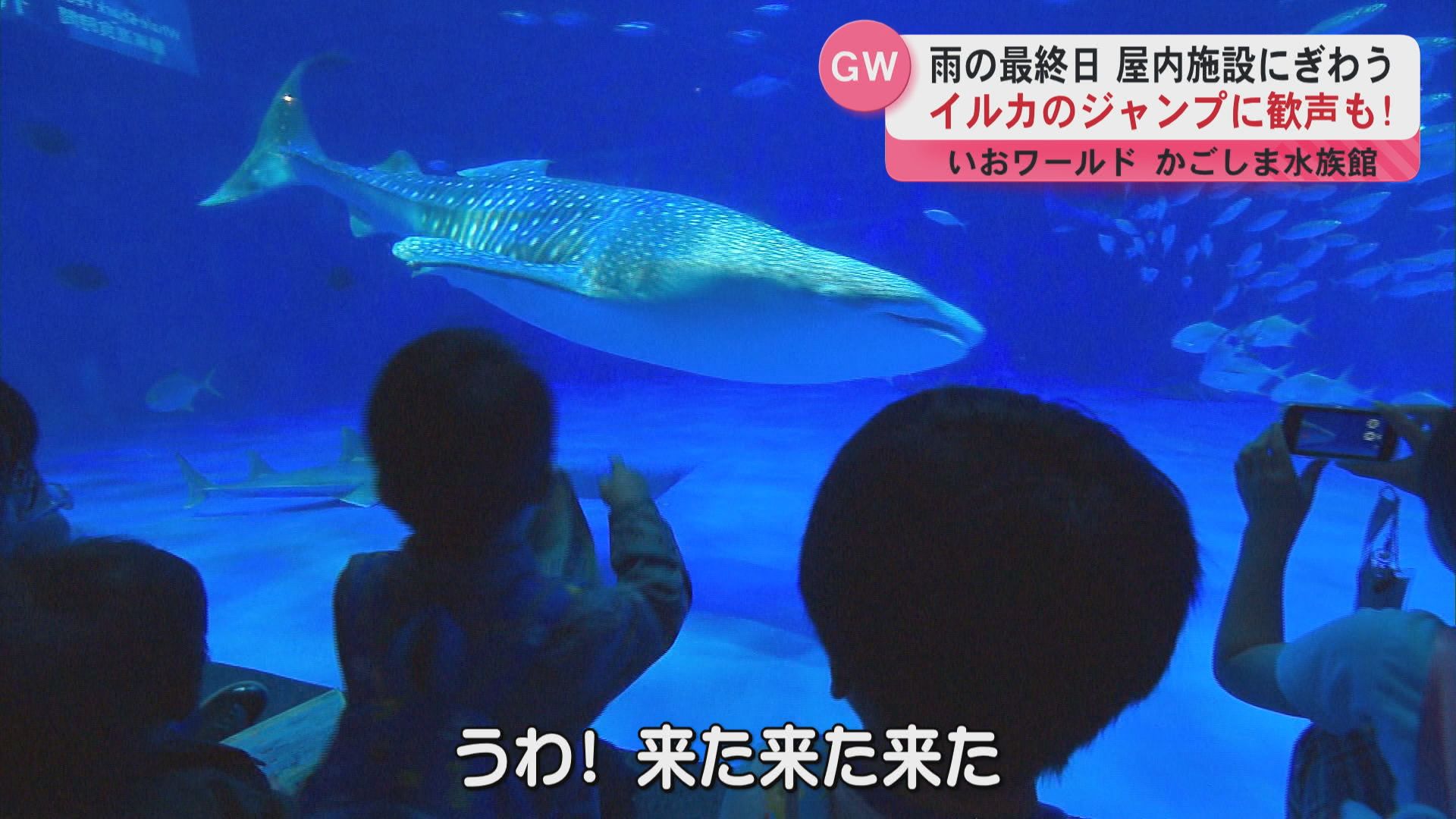かごしま水族館 GW中4万人以上が来場（2025年5月6日掲載）｜KYT NEWS NNN