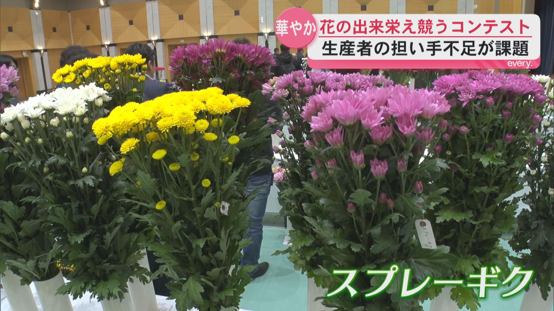 生産者の担い手不足の中…最高賞は？　フラワーコンテスト開催「鹿児島県の花を多くの人に」　