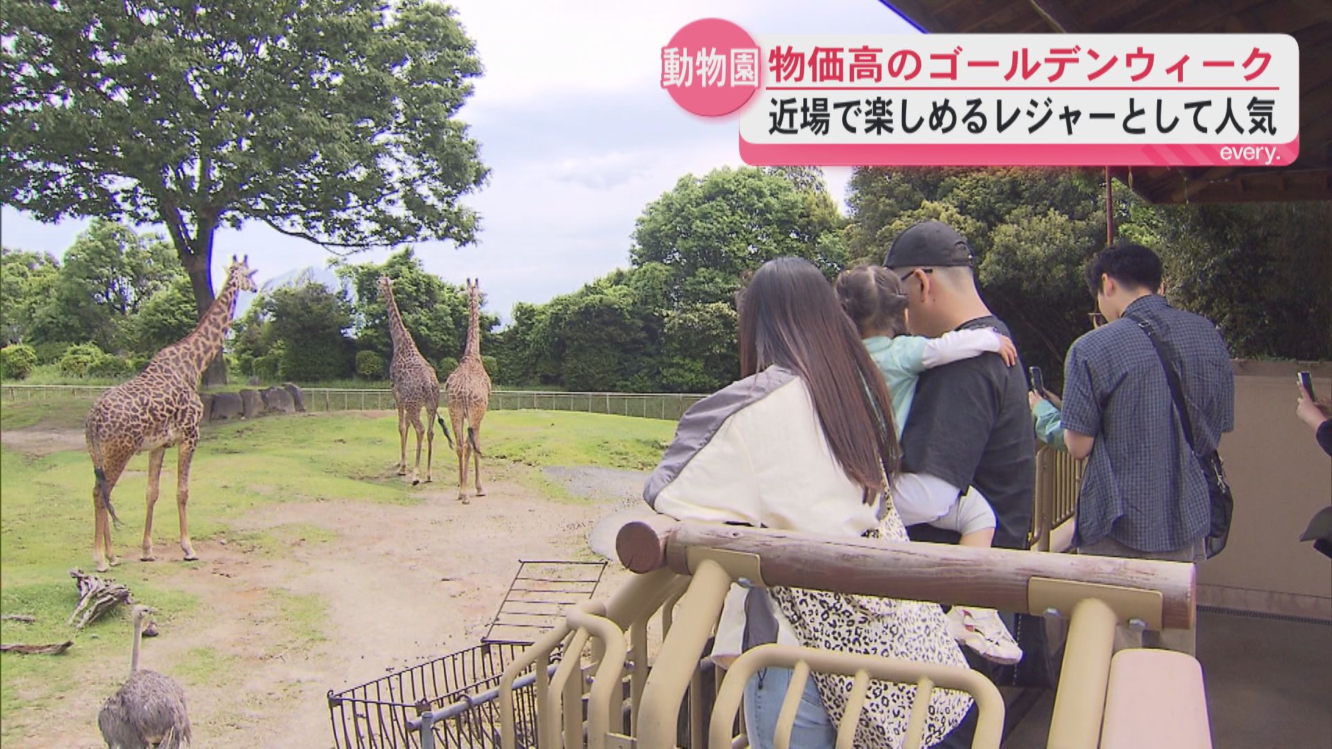 値上げ後初のGW　鹿児島市の平川動物公園　物価高受け弁当持参で節約する家族も