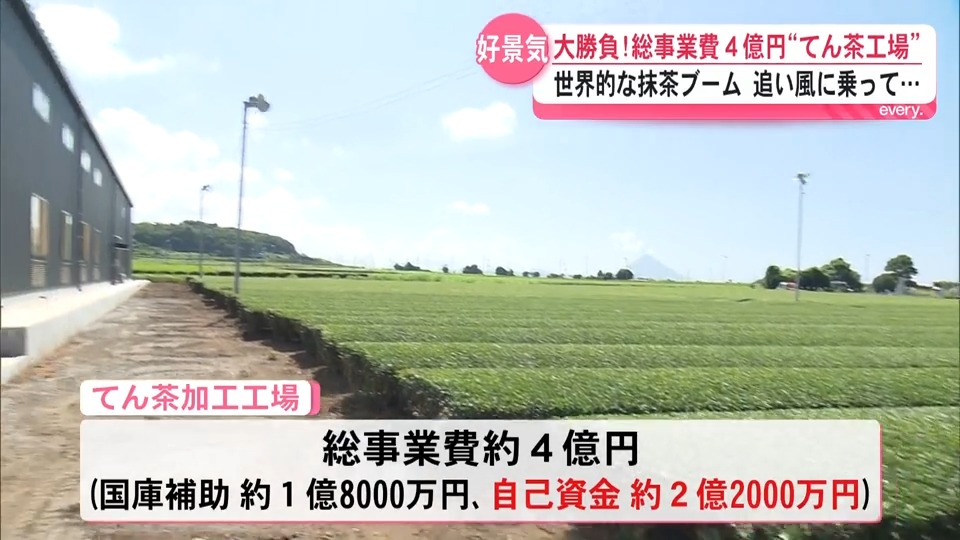 「ドンピシャだった」抹茶ブーム到来で売上2倍　鹿児島の茶農家が4億円投じた決断