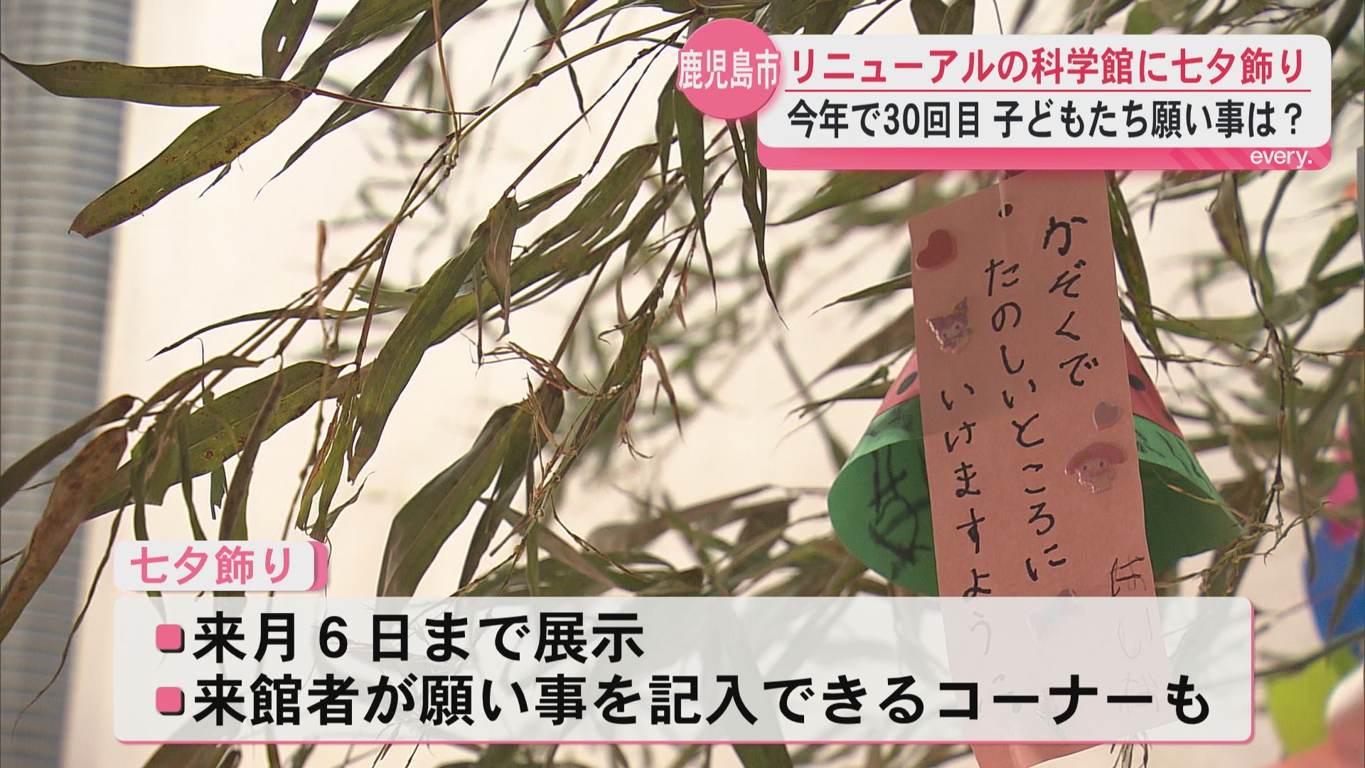 リニューアルの鹿児島市立科学館に七夕飾り　