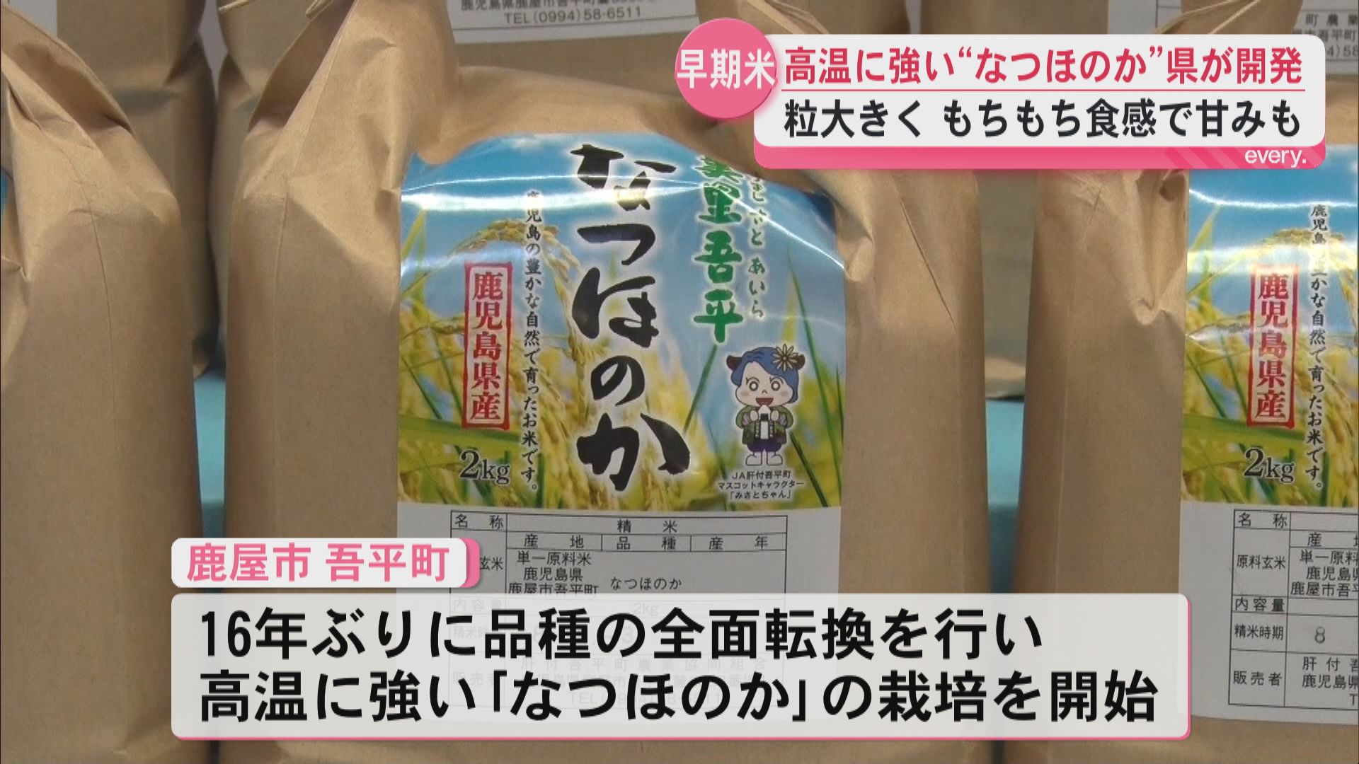 県が開発した高温に強い早期米“なつほのか”出発式　猛暑で16年ぶりの品種転換　
