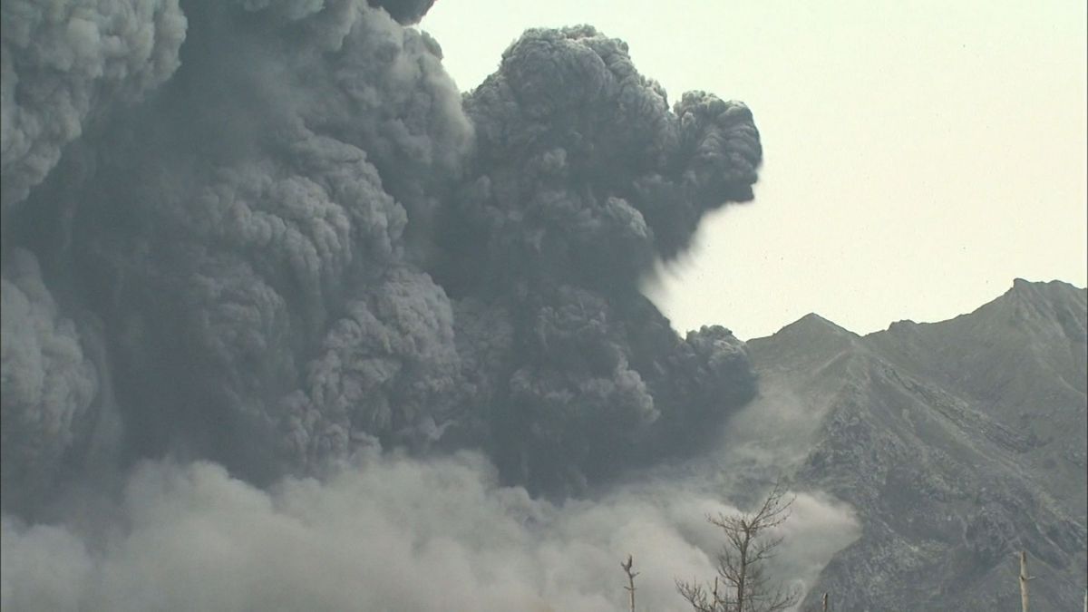 桜島の過去の大噴火に“共通点”マグマが50日以上通り道で停止　東北大学の研究グループ突き止める